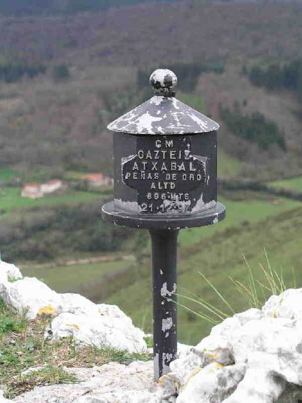 Buzoia