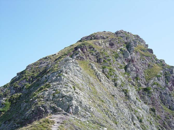 Moinesen gandorra
