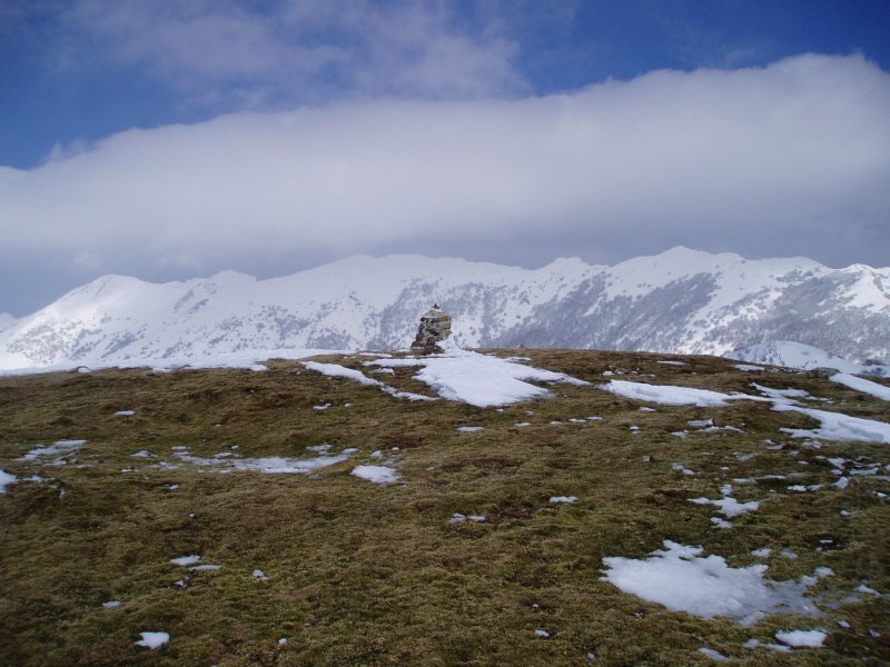 Tontorra