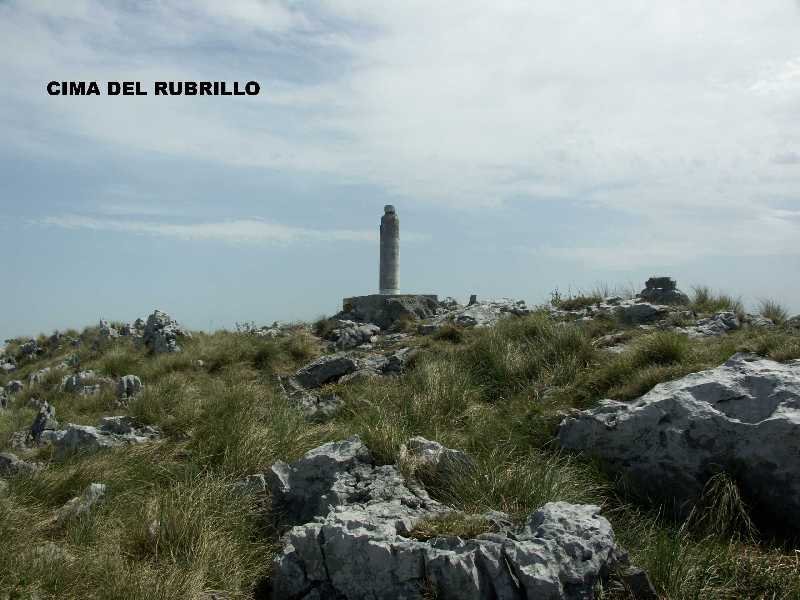 rubrillo, vertice