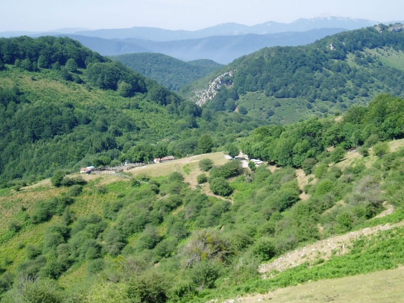 Enirio