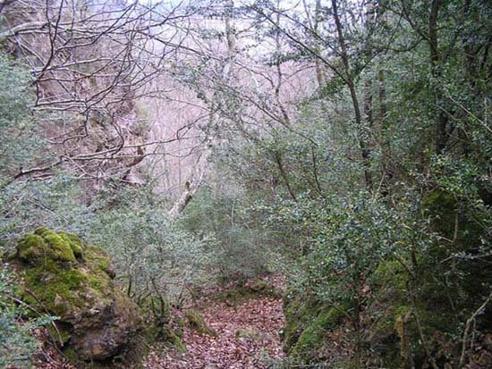 Sendero