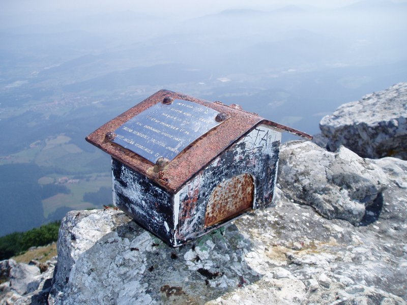 Buzoia
