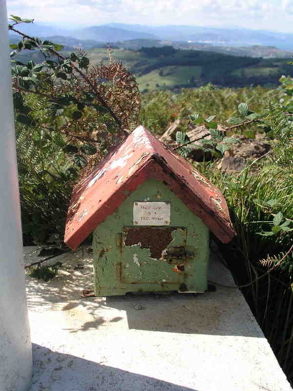Buzoia