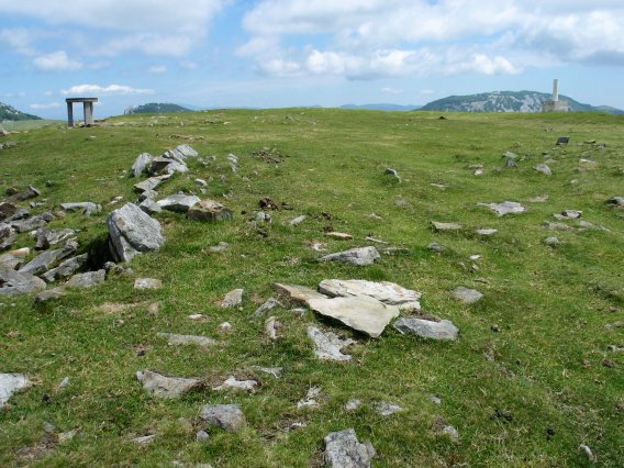 Tontorra