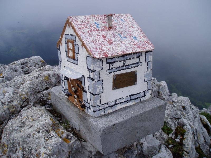 Buzoia