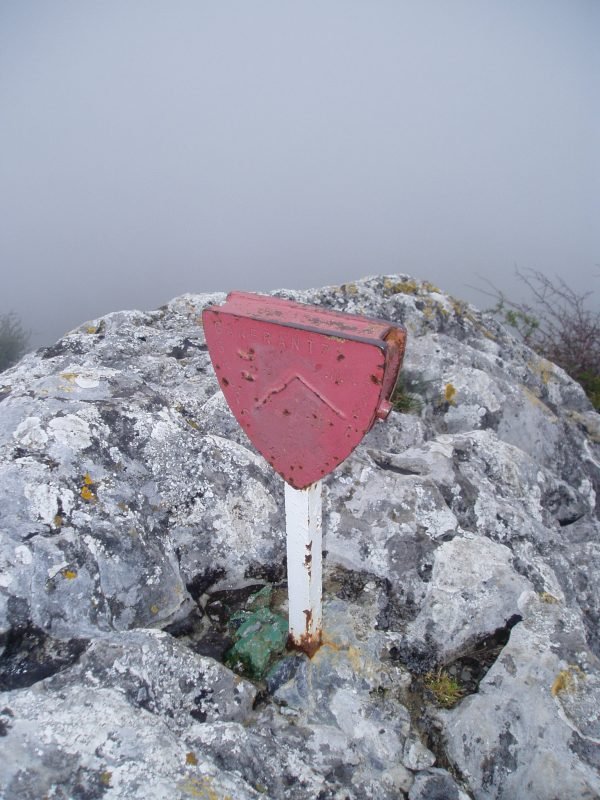 Buzoia