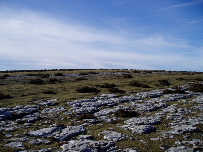 Tontorra