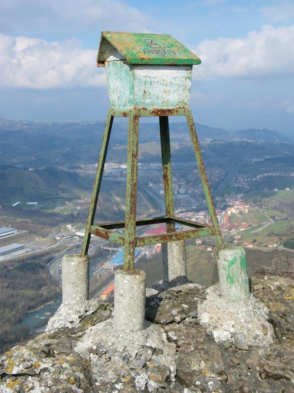 Buzoia