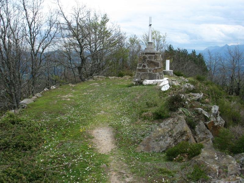 Tontorra