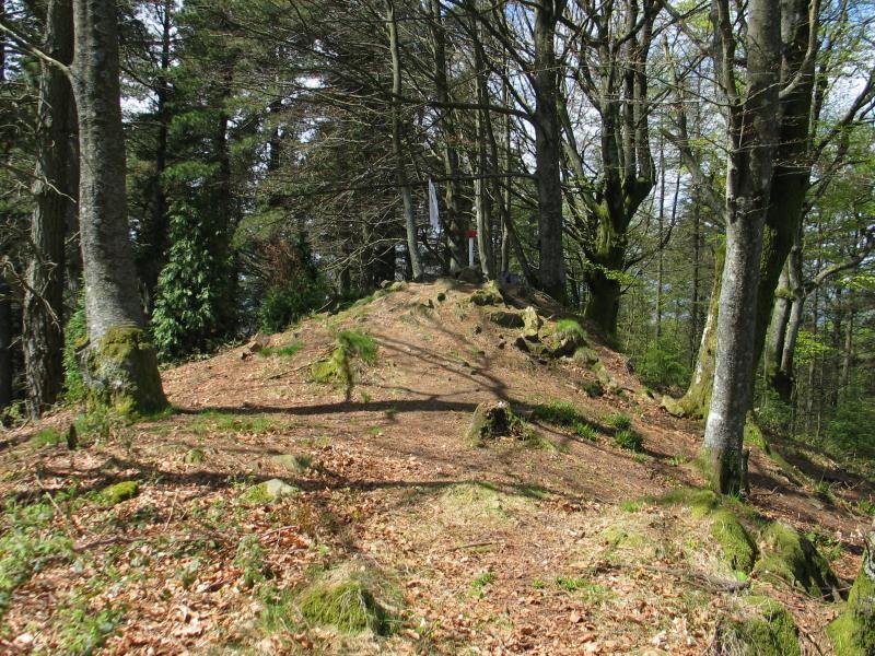 Tontorra