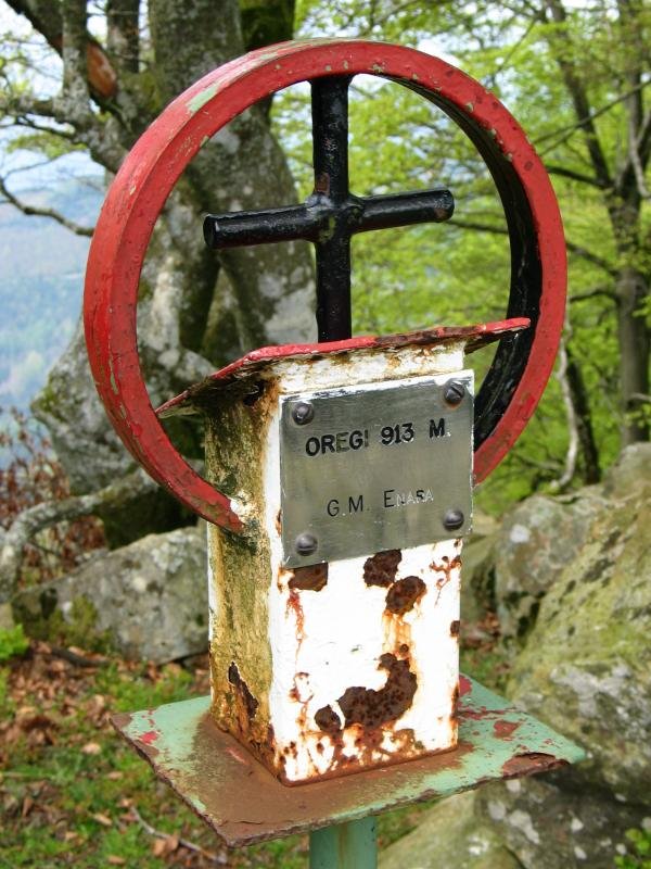 Oregiko buzoia