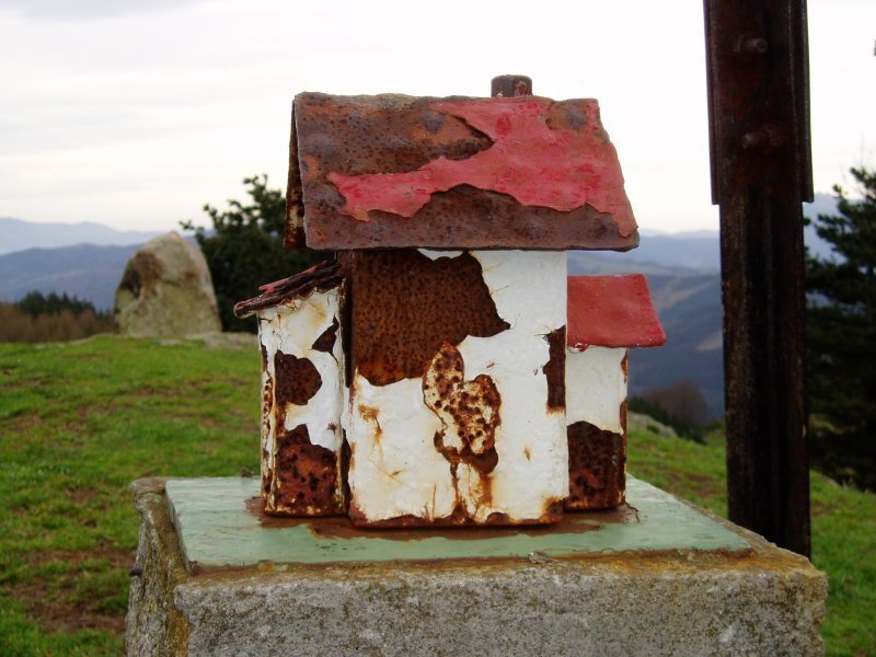 Buzoia