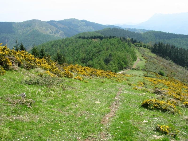Ekialdeko ikuspegia