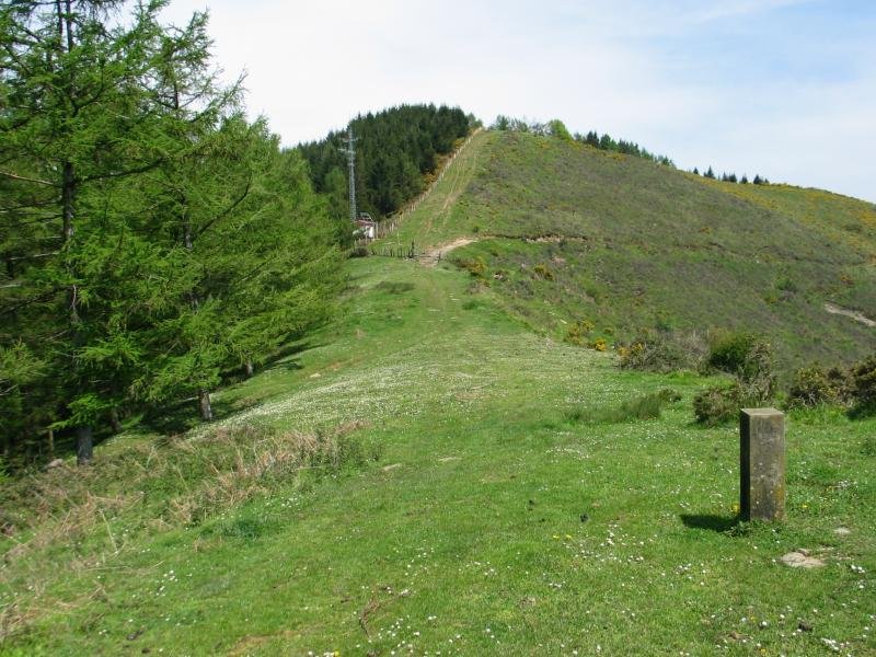 HMko bizkarretik