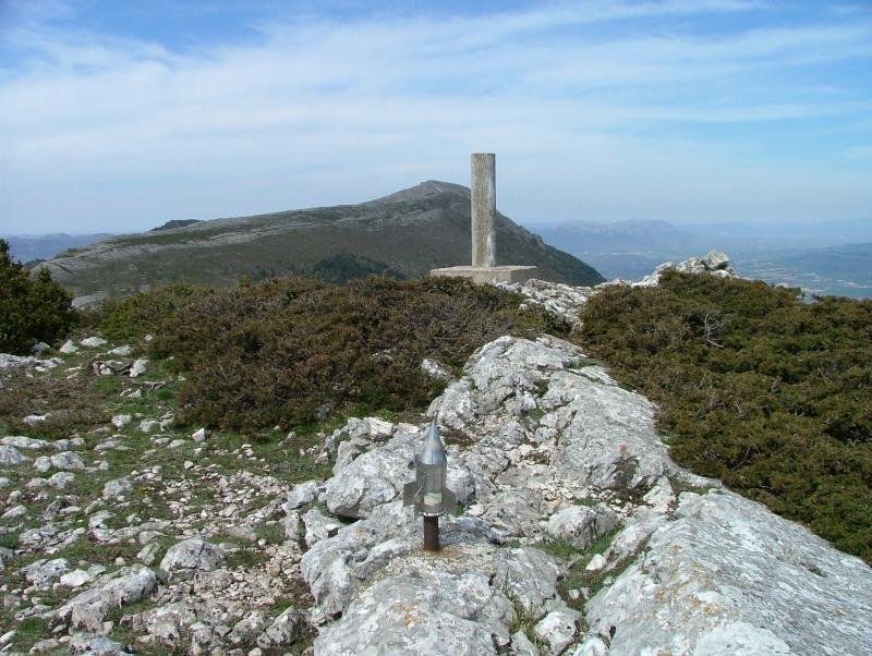 FLORREKO TONTORRA