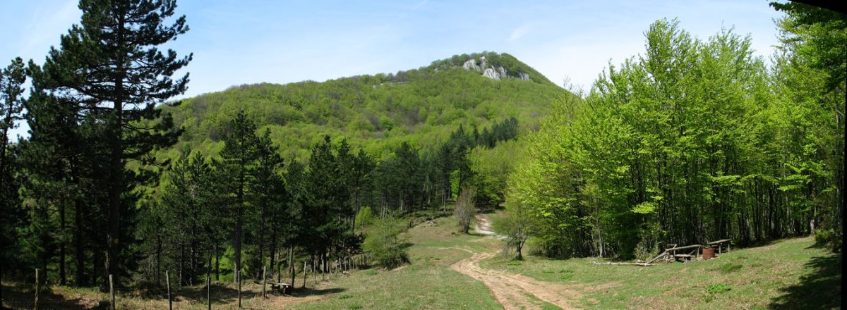 Ekialdeko lepotik