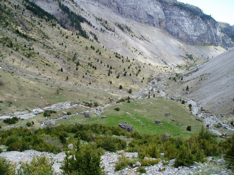 Fon Blanca