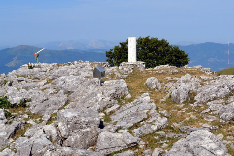 Tontorra