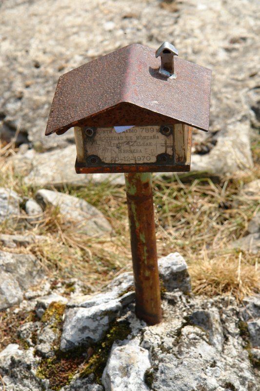 Buzoia