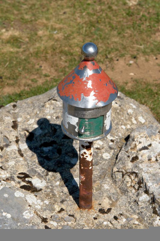 Buzoia