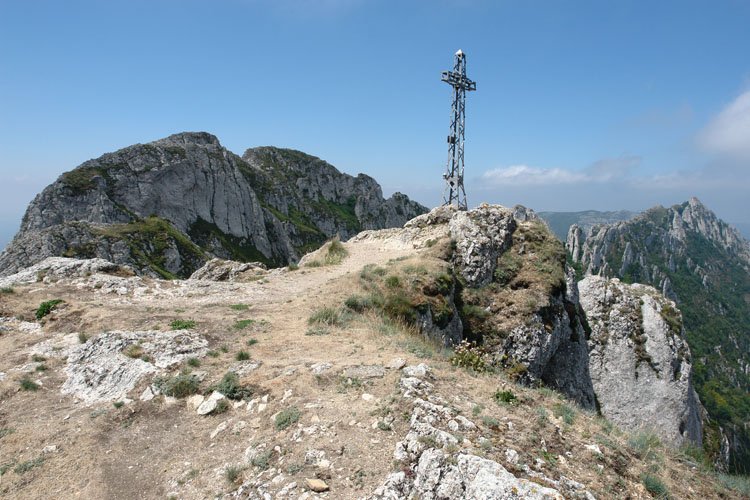 Tontorra