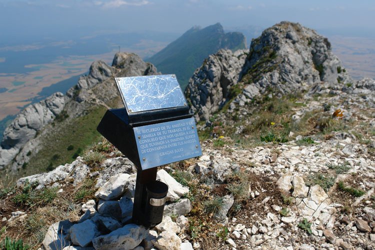 Buzoia