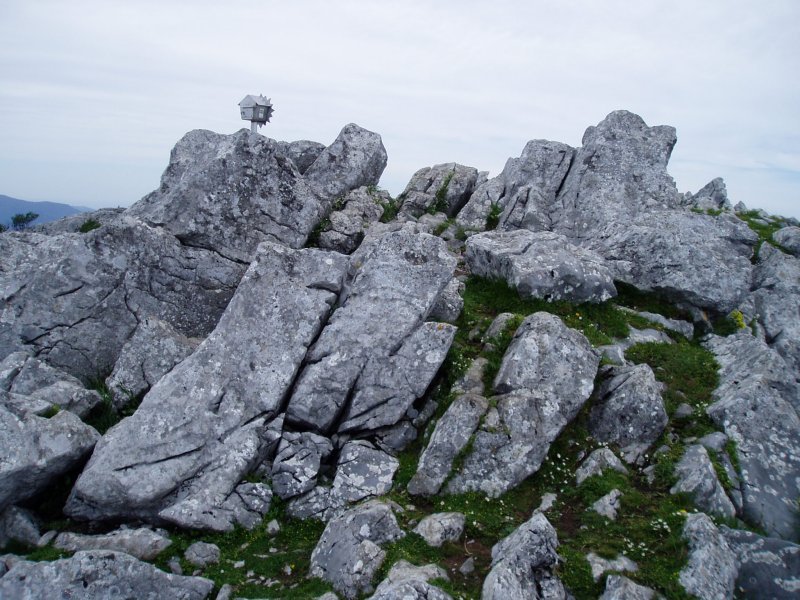 Tontorra