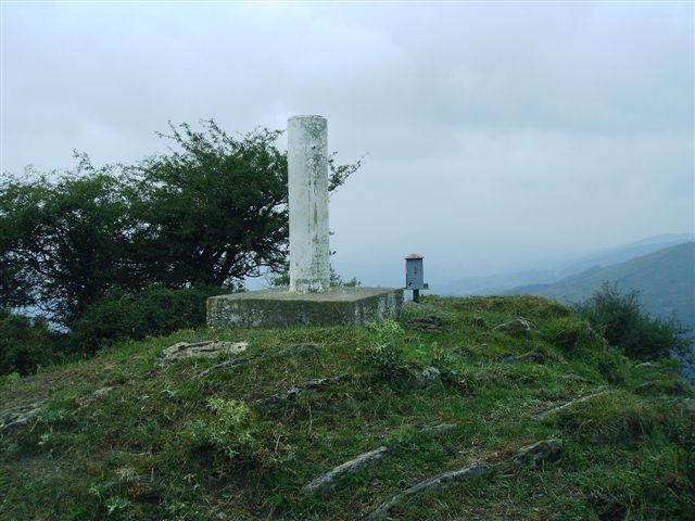 Buzoia