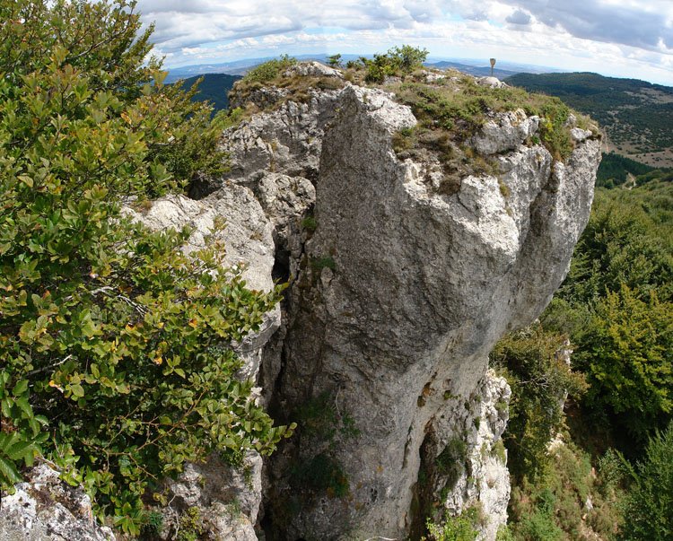 Tontorra