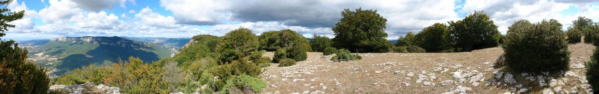 Tontorra