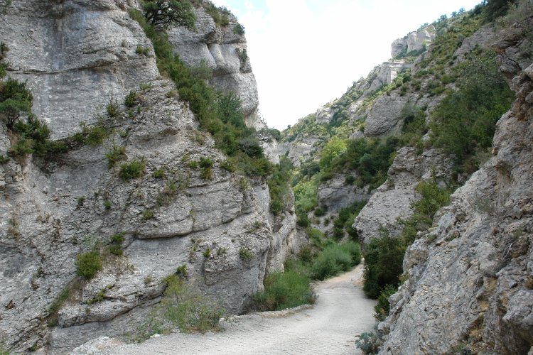 Irantzuko arroila