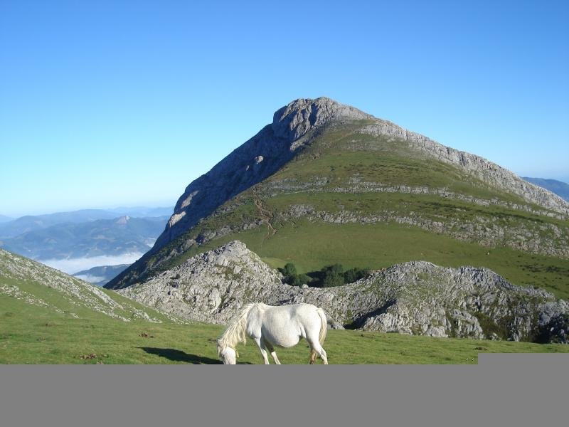 Larrunarri