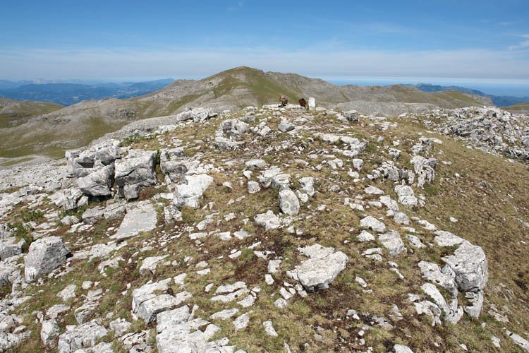 Tontorra