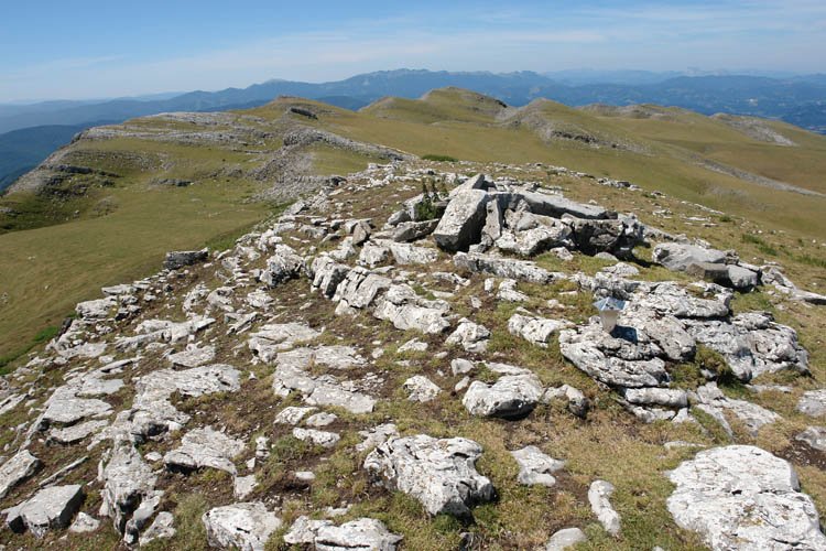 Tontorra