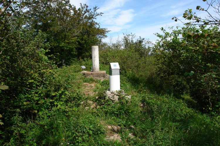 Tontorra