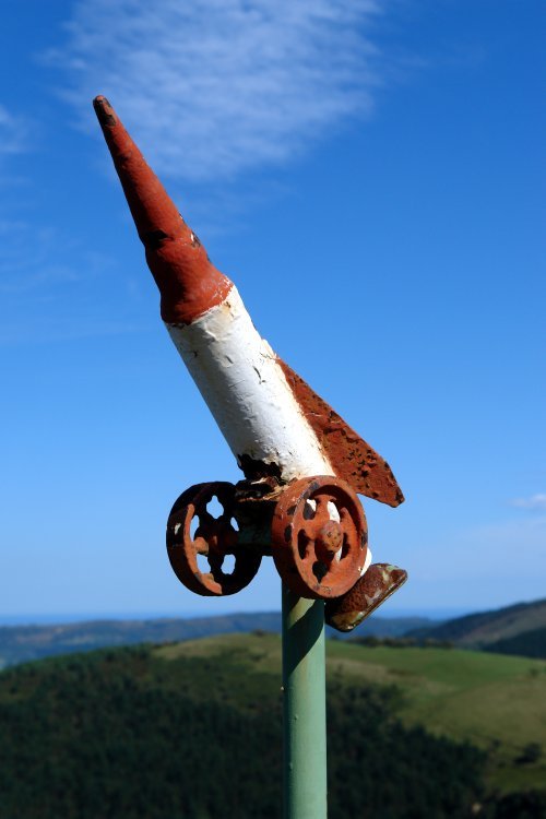 Buzoia