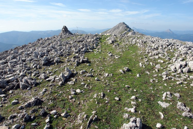 Tontorra