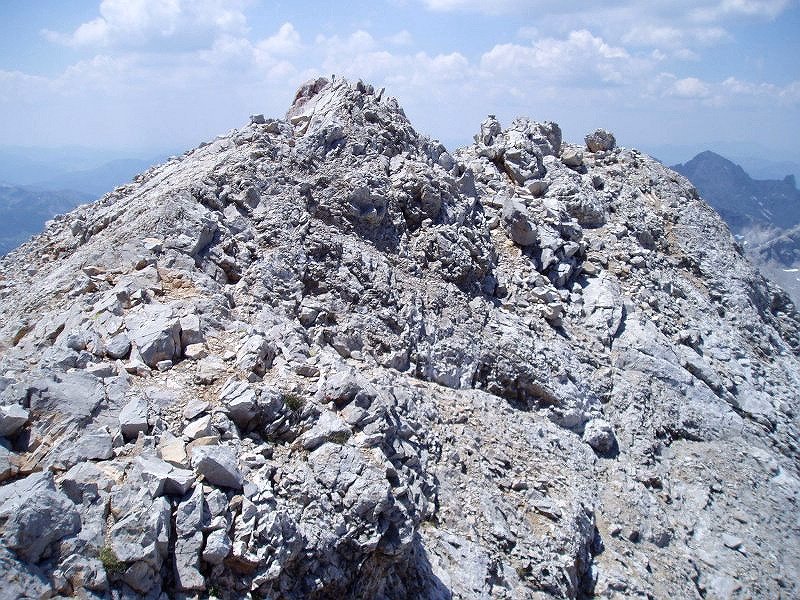 Tontorra