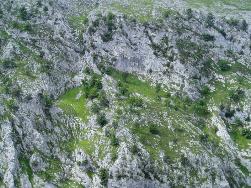 Arroilaren horma