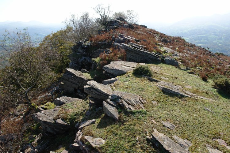 Larrazu: tontorra