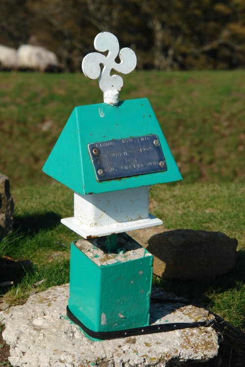 Buzoia