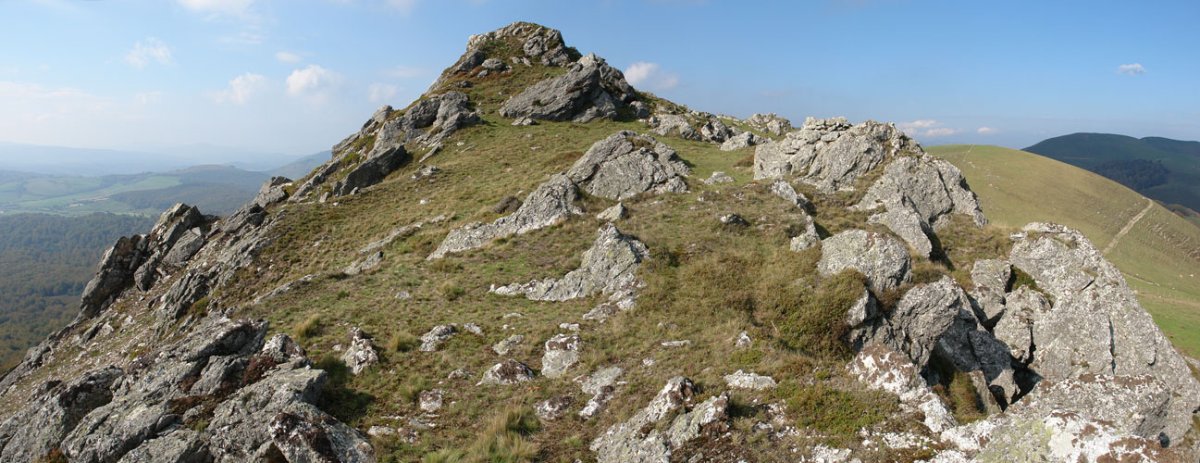 Tontorra ekialdetik