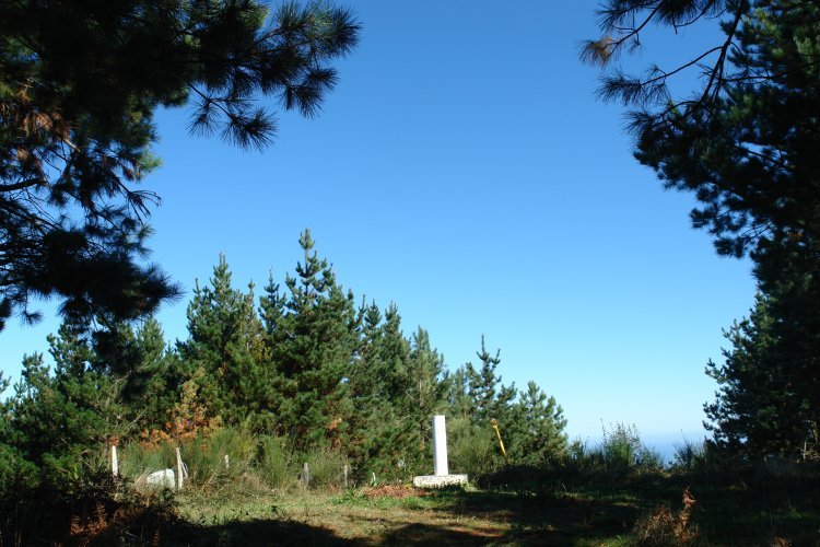 Tontorra