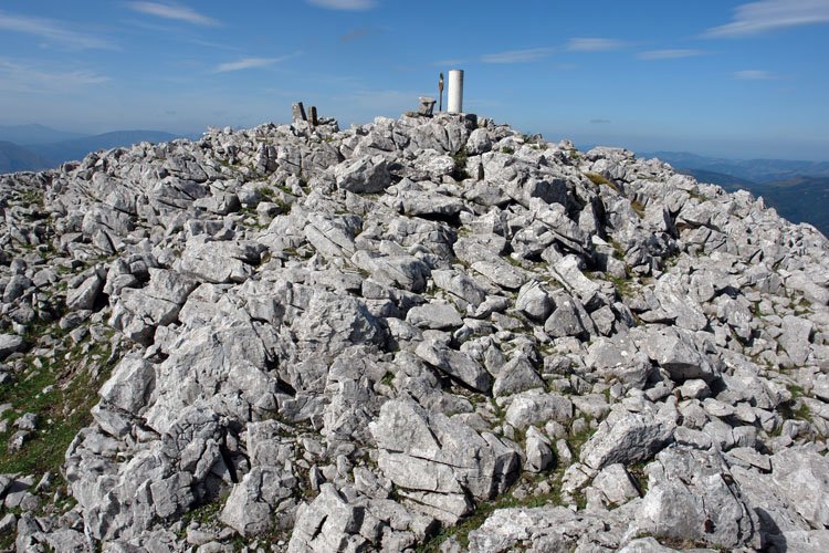 Tontorra