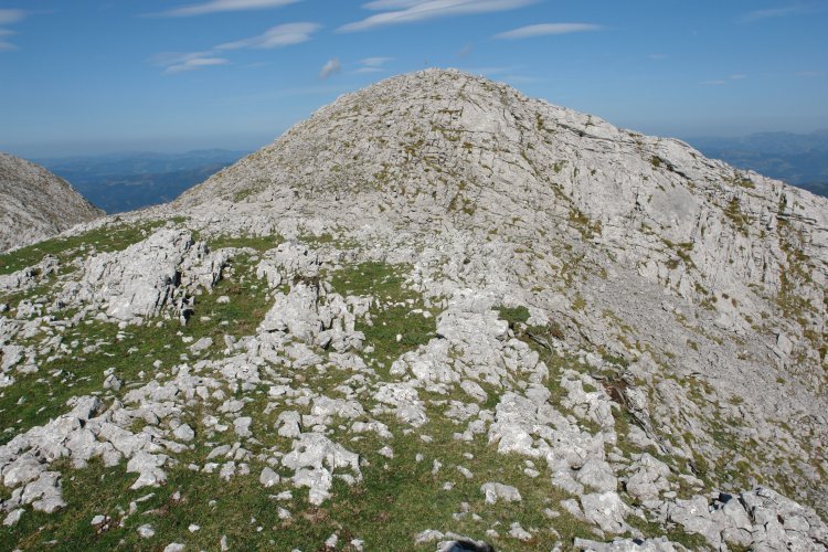 Adarraitz: tontorra