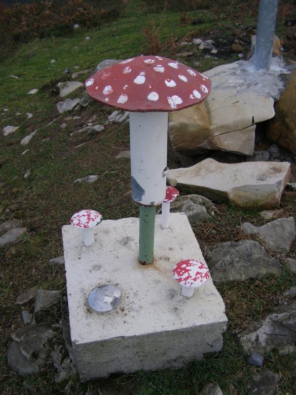 Buzoia