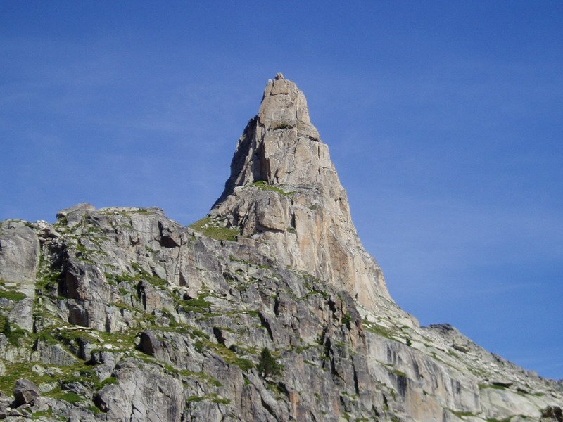 Amitgeseko orratza