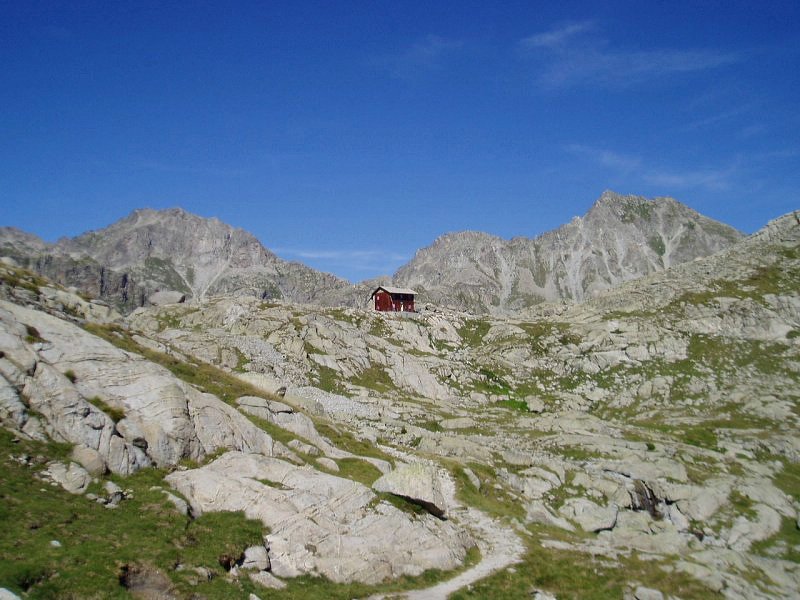 Colomina aterpea