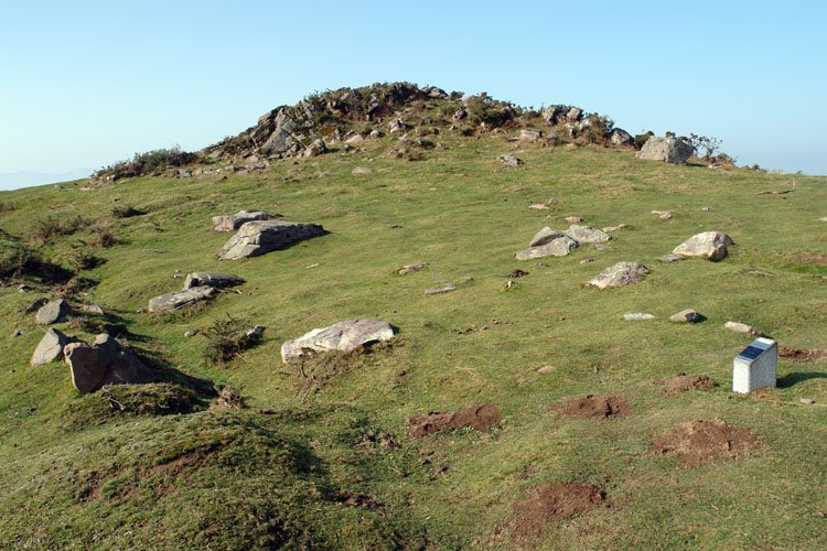Tontorra